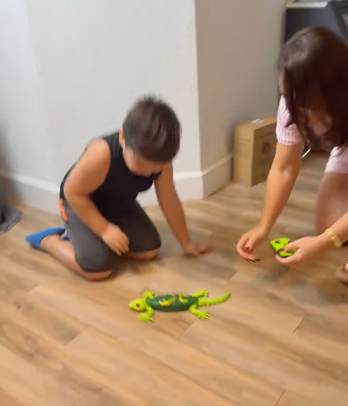 Review by Sofia P., Pet Lover 🦎